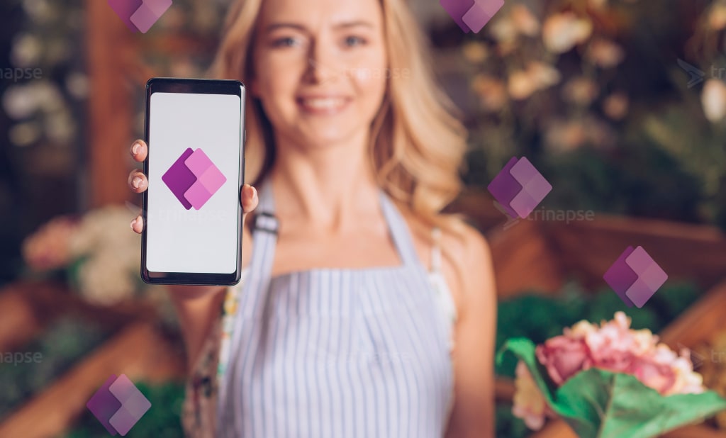 Guia para aplicativo de tela do Power Apps offline