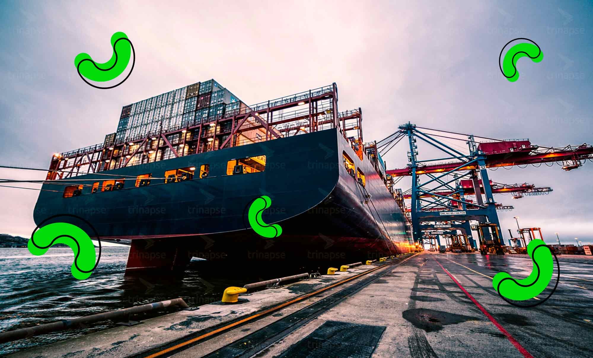 TRINAPSE - 88 - Por que empresas de logística devem integrar o SharePoint Online