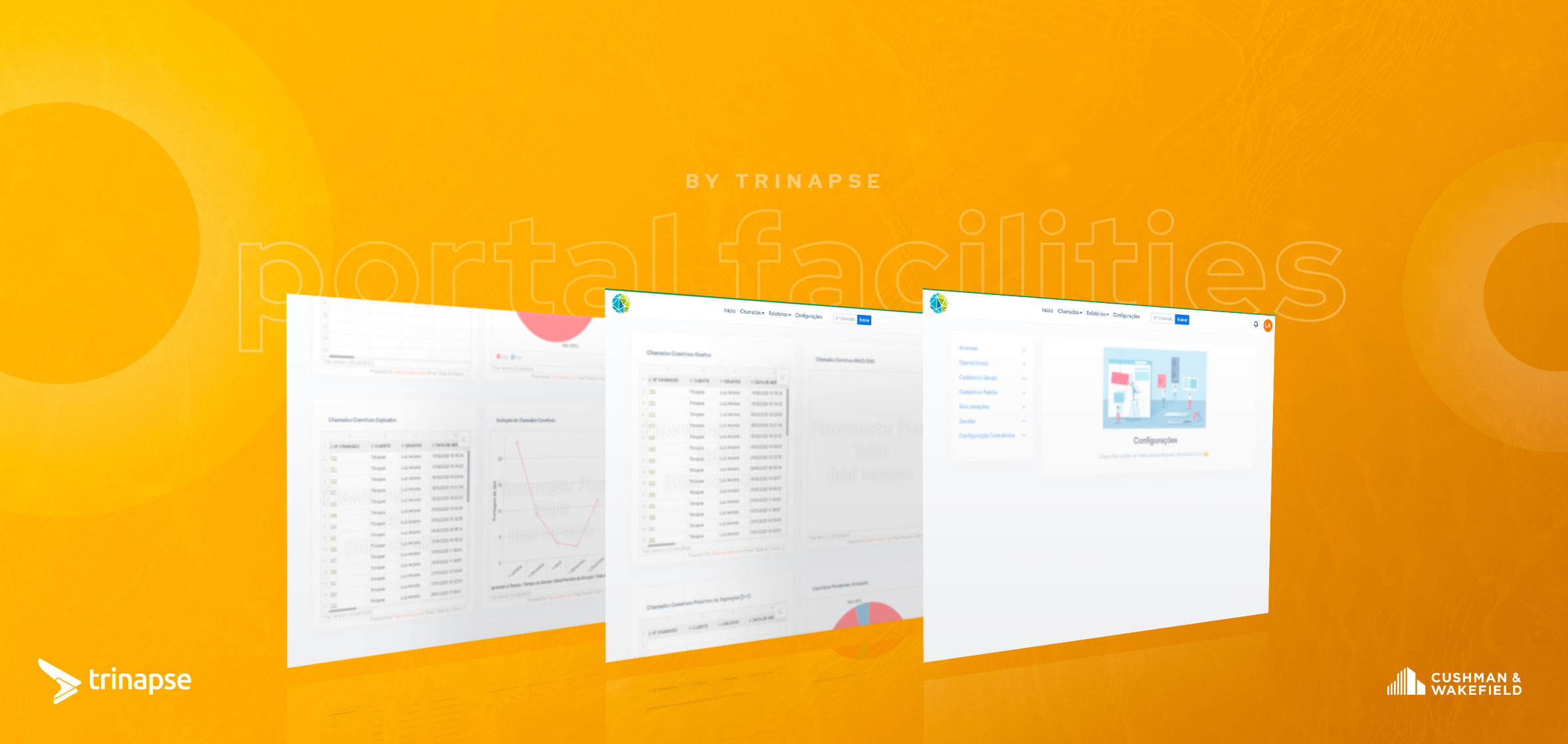 7.Histórias-Clientes-site-Trinapse-Cushman-2