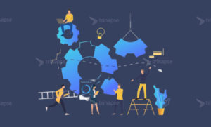 Catalog no Power Platform: como publicar e distribuir soluções entre ambientes